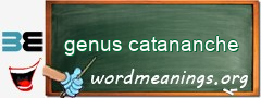 WordMeaning blackboard for genus catananche